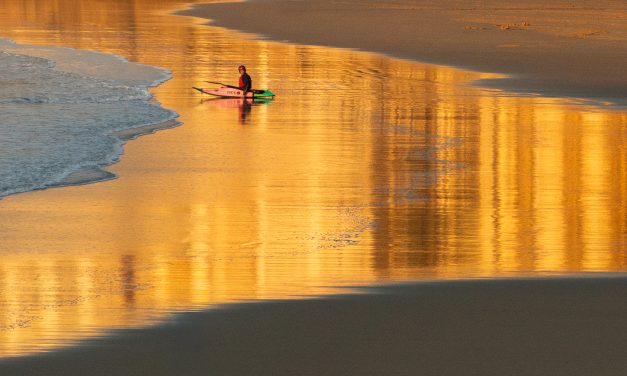 Sólo ante la naturaleza