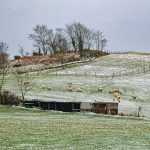 El invierno es una estación