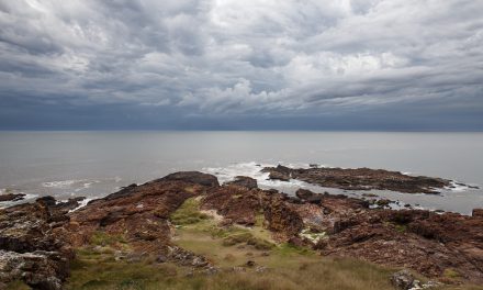 Punta Ballena