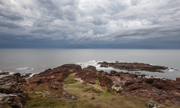 Punta Ballena
