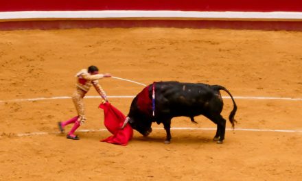 Toros