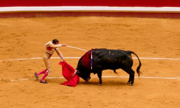 Toros
