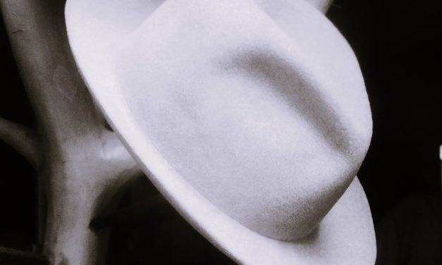 Boina o sombrero